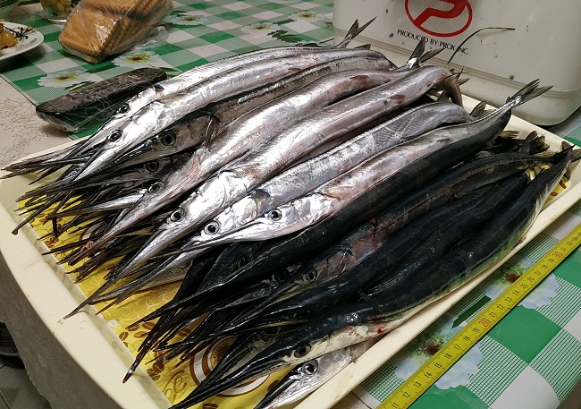 Какая рыба встречается в Черном море?